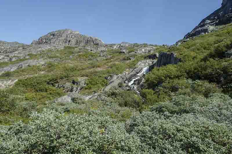 114 - Groenlandia - fiordo Tunulliarfik - Narsarsuaq - valle de las Mil Flores